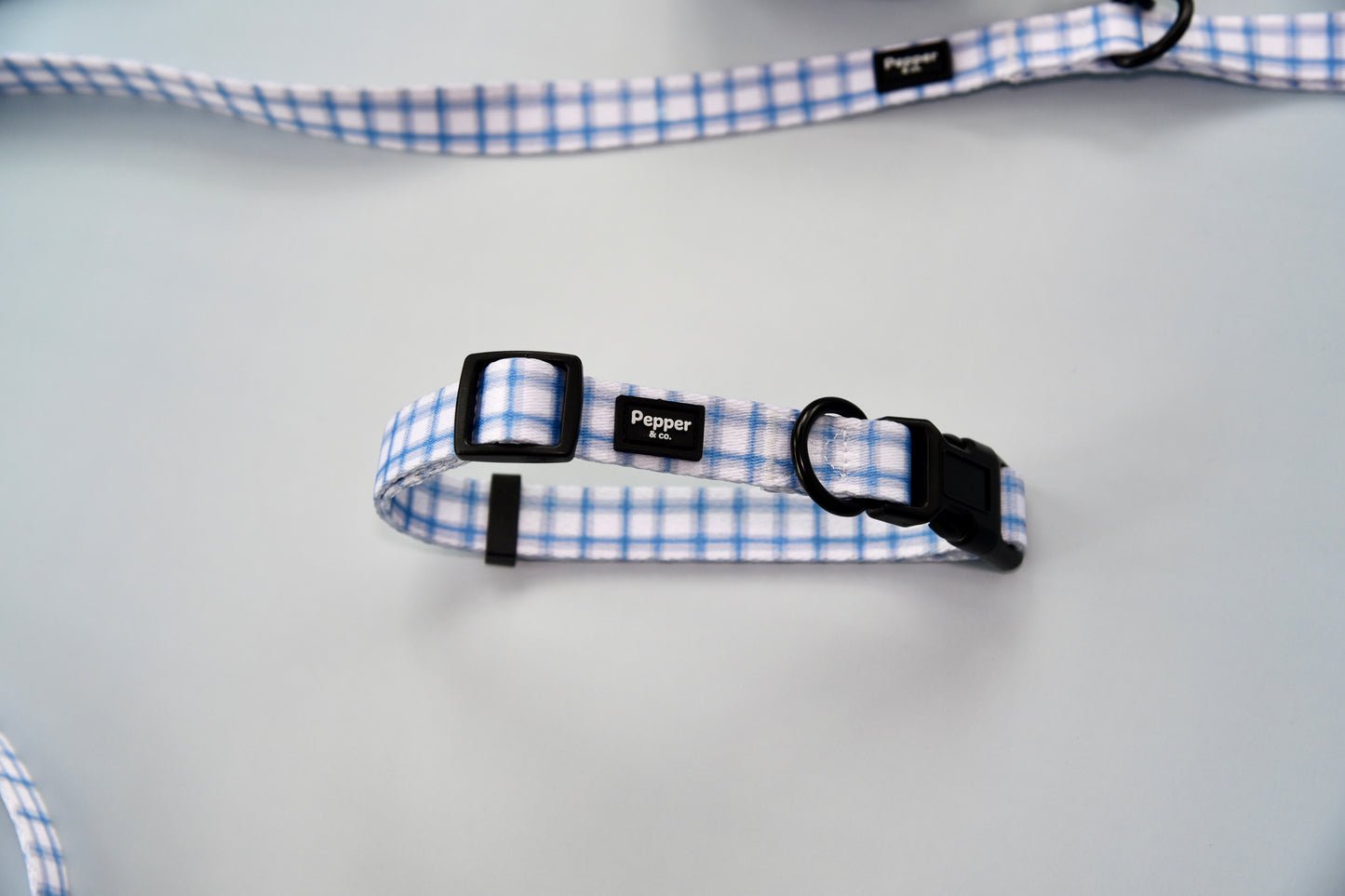 "Baby Blues" Collar