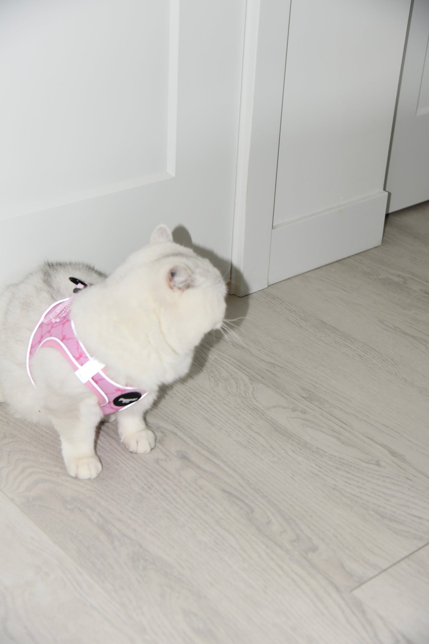 "The Pink Present" Step In Harness & Leash Set