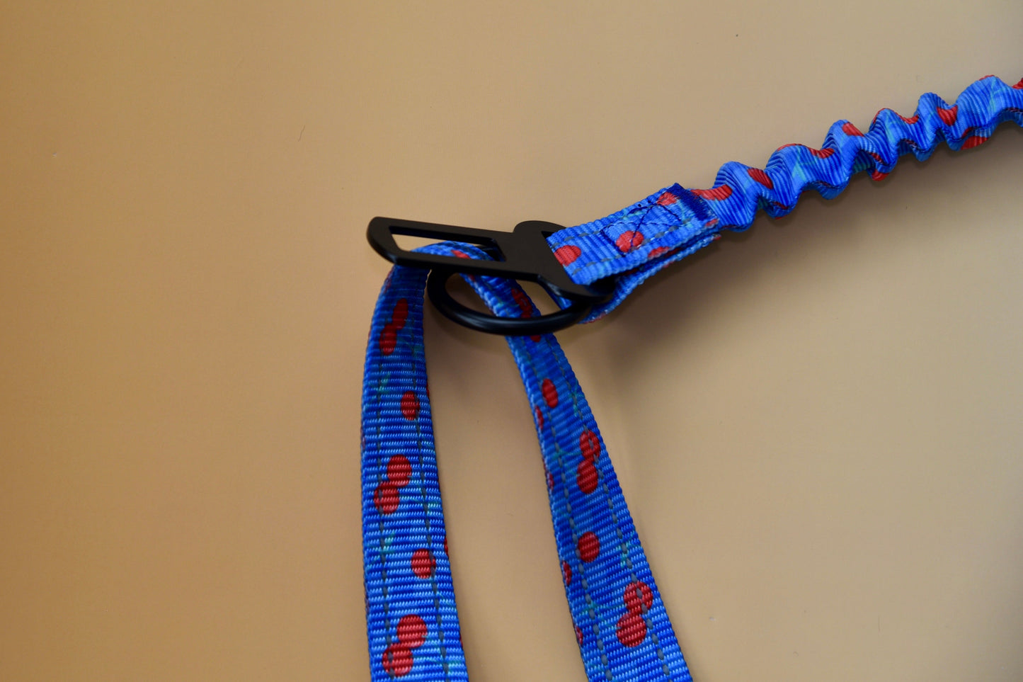 Blue dog leash with red accents and a black clip on a beige background