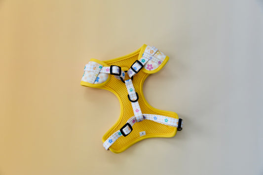 Yellow dog harness with floral pattern on a beige background
