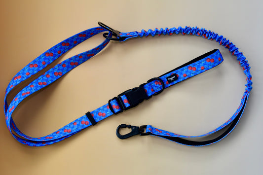 Blue dog leash with floral pattern on a beige background