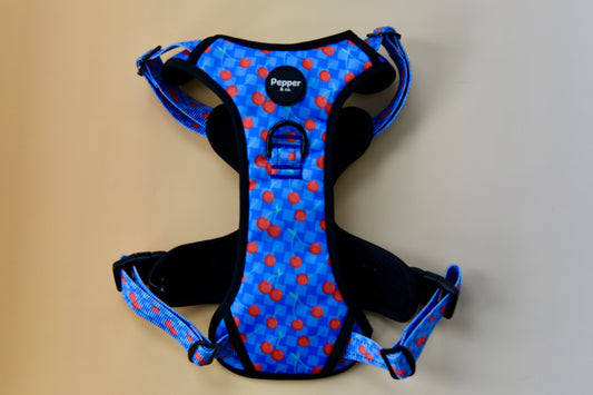 Blue dog harness with red cherry patterns 