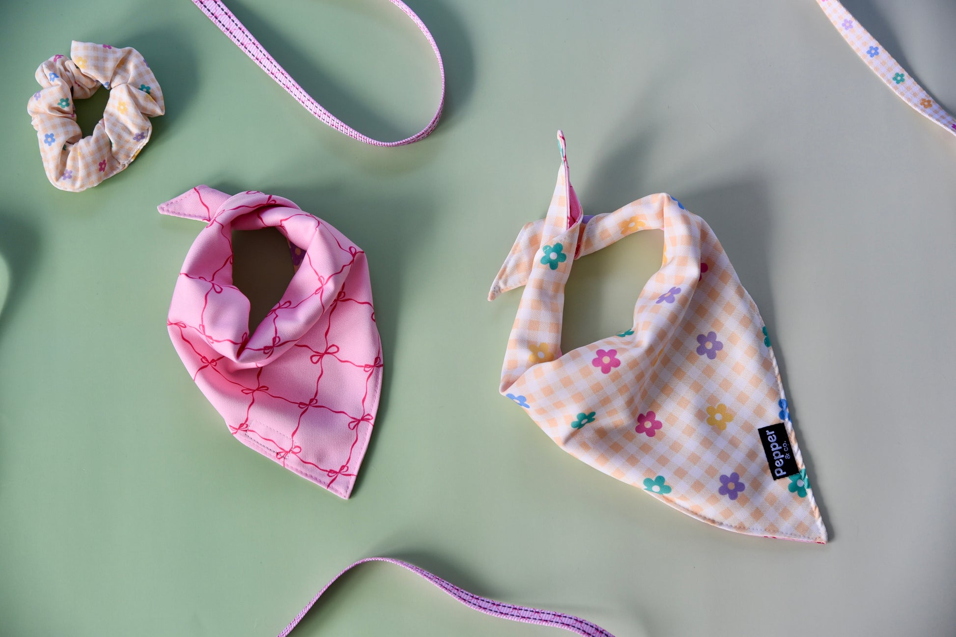 Dog bandana, scrunchie, and ribbons on a light green background
