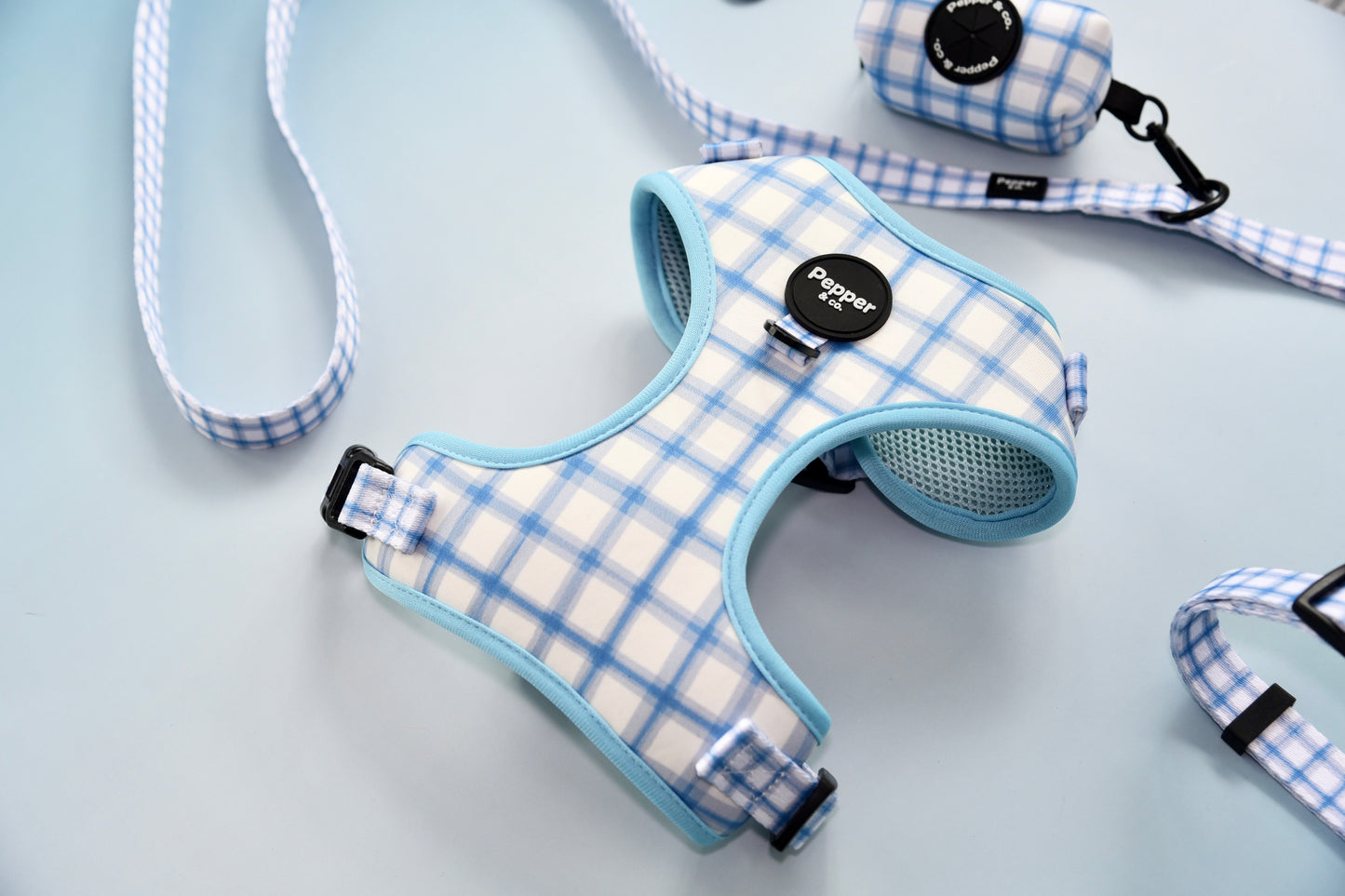 Blue and white checkered dog harness and leash on a light background.