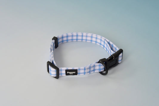 A blue and white checkered dog collar with a black plastic buckle, displayed against a neutral background.
