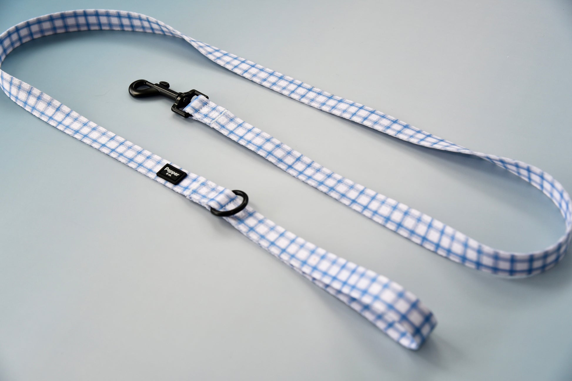 Blue and white checkered dog leash on a gray background