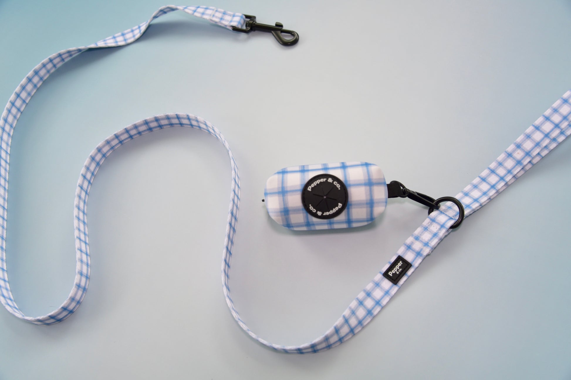 Dog leash with checkered pattern on a plain background
