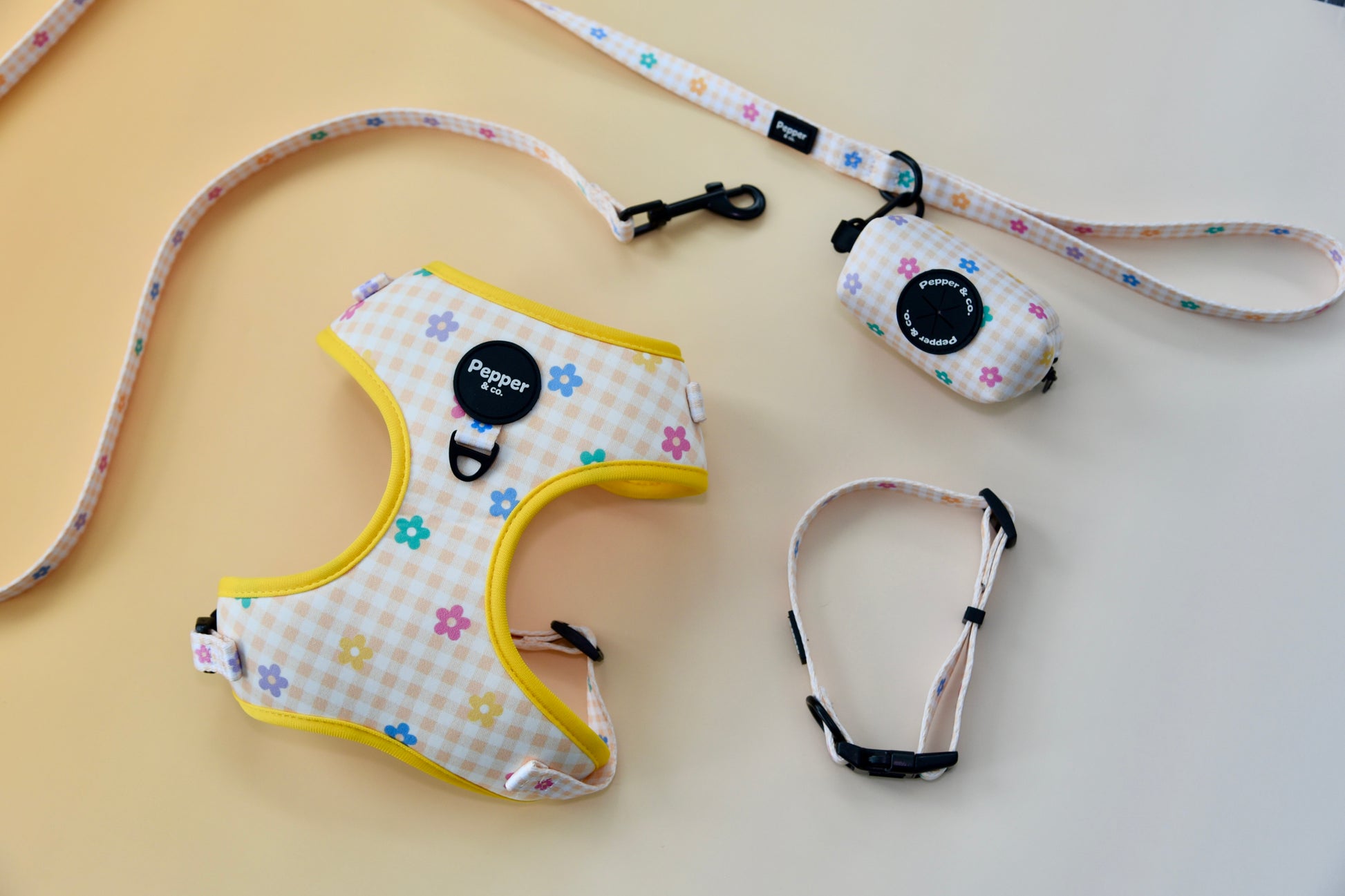 Dog harness, leash, and camera with floral pattern on a beige background