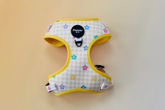 Dog harness with floral pattern and yellow trim on a plain background