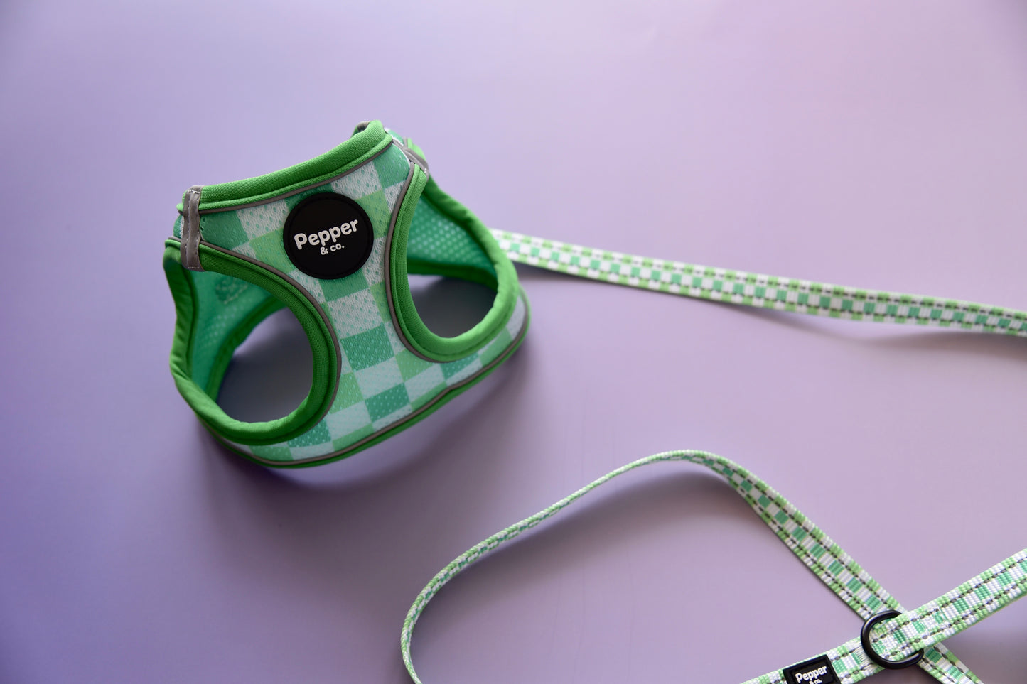 Green checkered dog harness and leash set on a purple background