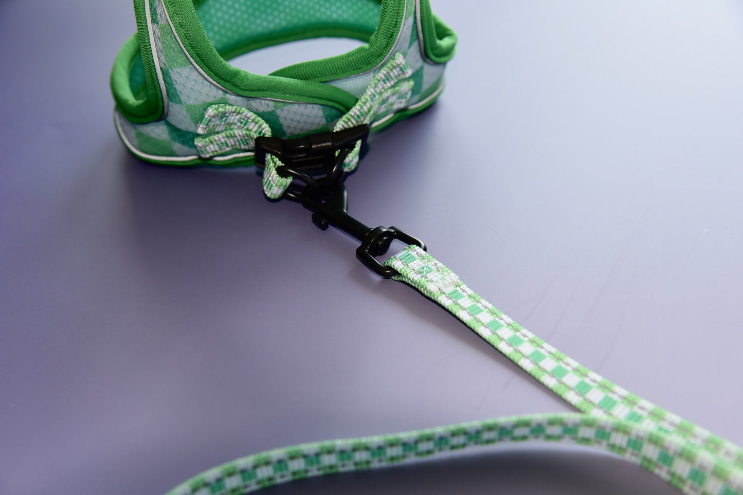 Green and white patterned dog harness and leash on a purple background
