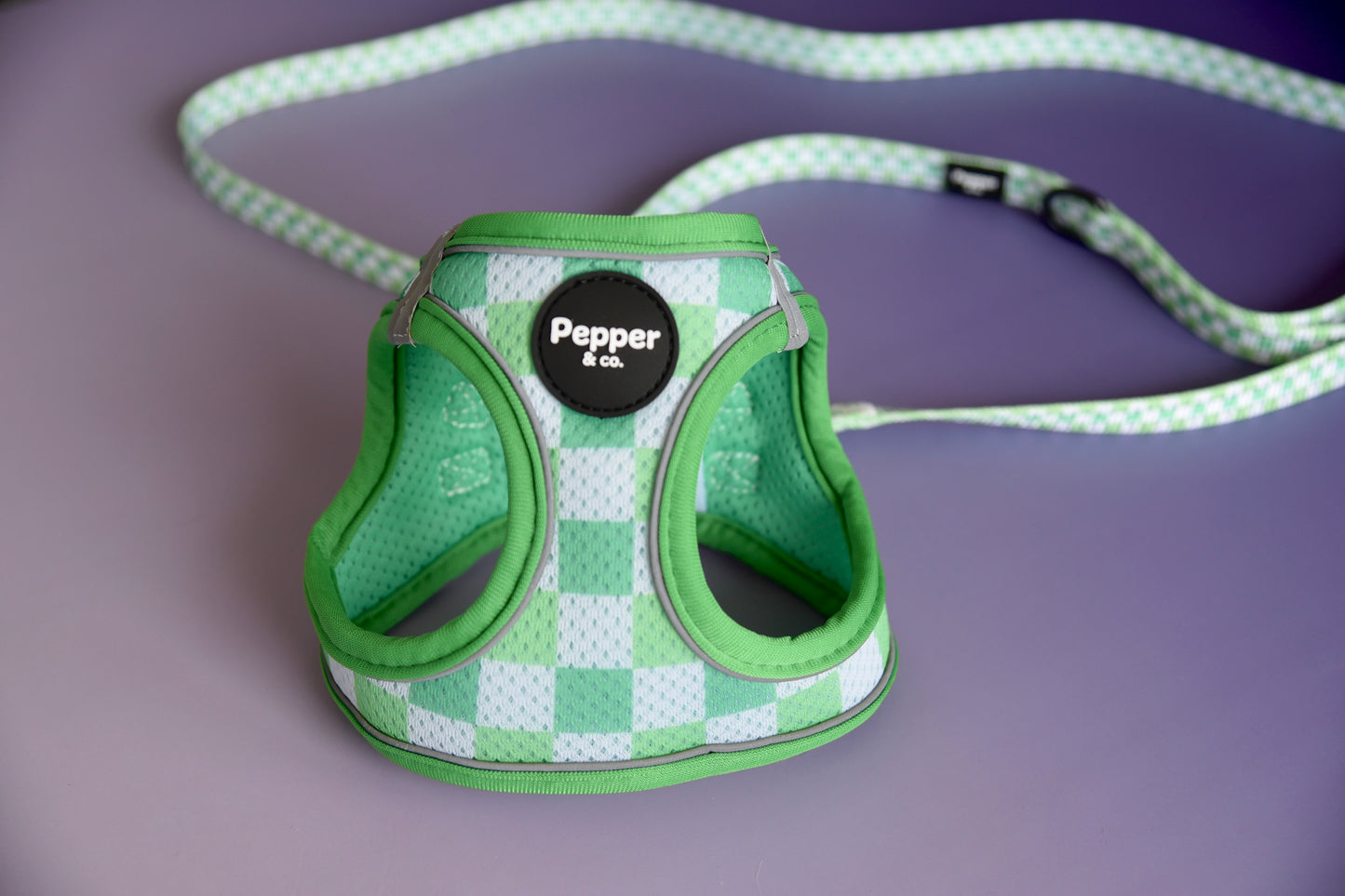 Green checkered dog harness with a leash on a purple background