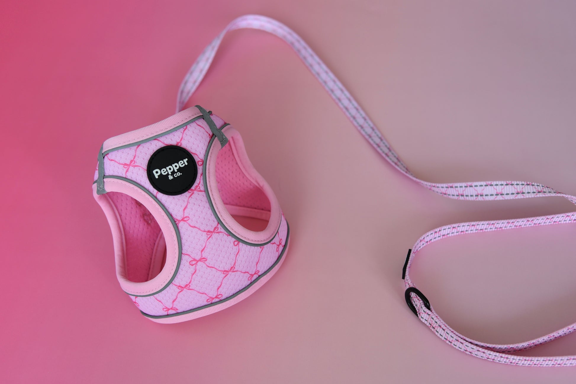Pink dog harness with leash on a pink background