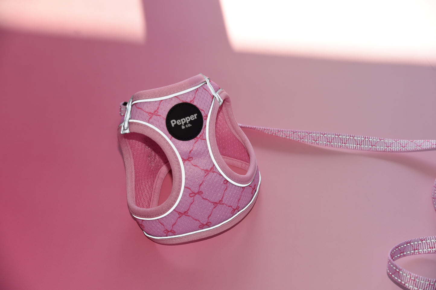 Pink dog harness with a leash on a pink background
